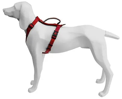 Freedog Arnés Extreme Rojo 1 ud