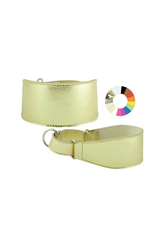 Youpet Collar Galgo Marting Estre Rj 25-35 L350 A60 1un